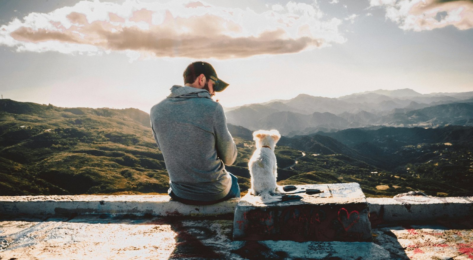 Tutor e seu cão sentados em um mirante, olhando o vale